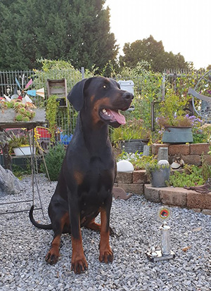 68372450_2360603447370426_6164756577891909632_nklein 68372450_2360603447370426_6164756577891909632_nklein