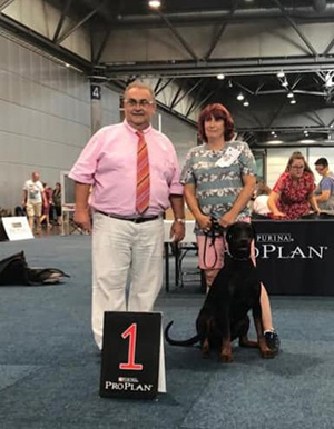 69634819_2374354212662016_8348329676439027712_n 69634819_2374354212662016_8348329676439027712_n