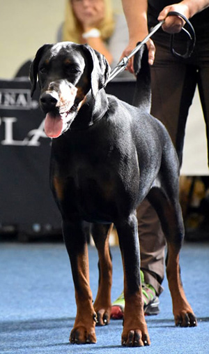 73269976_2492738784295991_6000794449020452864_n1 73269976_2492738784295991_6000794449020452864_n1