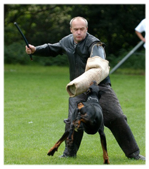 Chakko