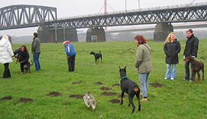 hundetreffen (13)