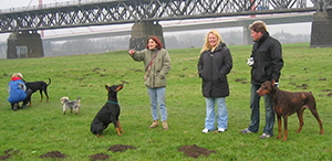 hundetreffen (14)