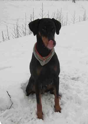 schnee_07_01_2009__48_