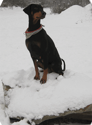 schnee_07_01_2009__57_