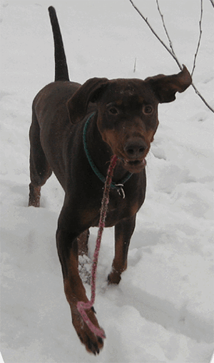 schnee_07_01_2009__66_