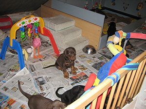 6 woche (3)