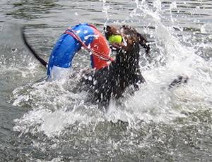IMG_8497oemes schwimm (10)