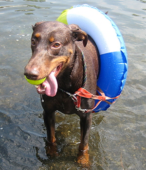IMG_8497oemes schwimm (4)