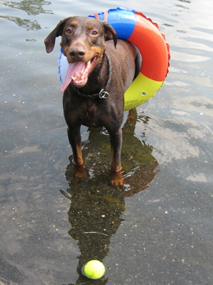 IMG_8497oemes schwimm (5)