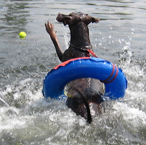 IMG_8497oemes schwimm (8)