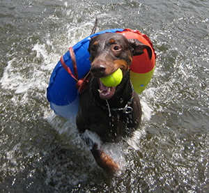 IMG_8497oemes schwimm