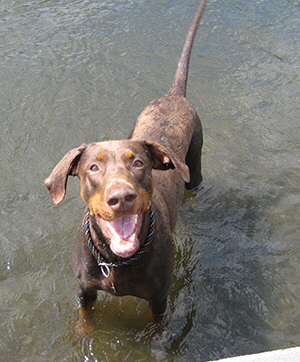 oemes terror schwimm (37)