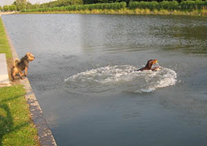 schwimm 26,06,08 (11)