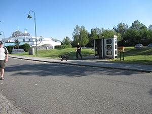 IMG_0557