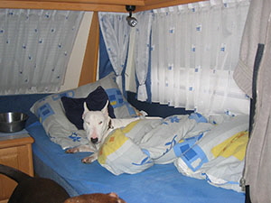 ostern 1 2006 (24)