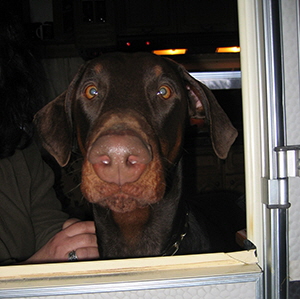 ostern 2006 (25)