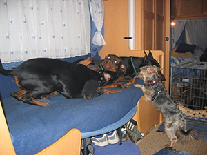 ostern 2006 (67)