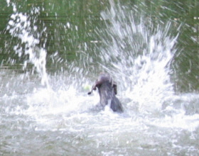 urlaub 2005 (109)