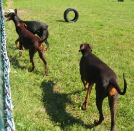 urlaub 2005 (37)