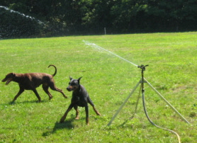 urlaub 2005 (45)