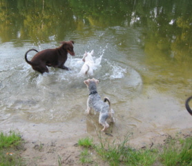 urlaub 2005 (65)