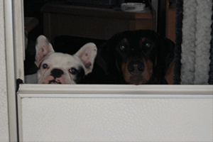 urlaub 2008 (139)