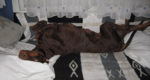urlaub 2008 (152)