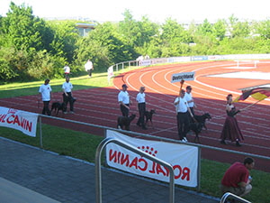 weltmeisterschaft (80)1