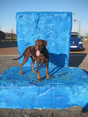 zuki 30,12 (18)