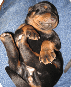 IMG_01592_woche__28_aaaa_1