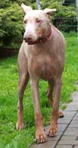 FEHLFARBEN__22_