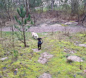 86c3dac0-a0c9-4b06-a1f1-08dbcff0e784