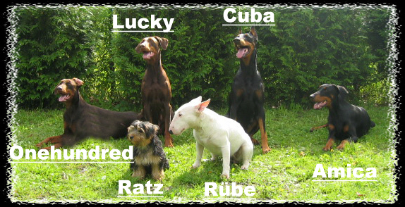 hunde 2004 (11)a
