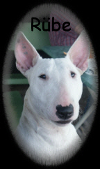 hunde 2004 (137)a