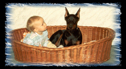 wir_ueber_uns_4