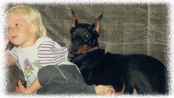 wir_ueber_uns_6