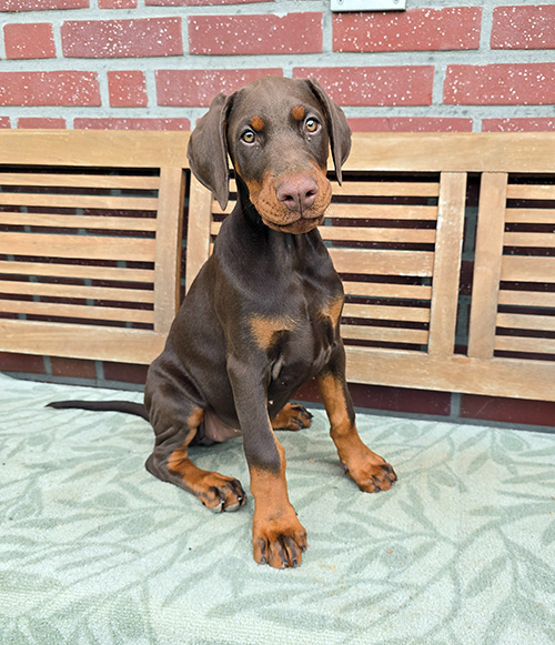 20260805_184829