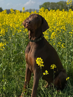 a5c2826f-5723-46c2-837b-b0933ab765b3