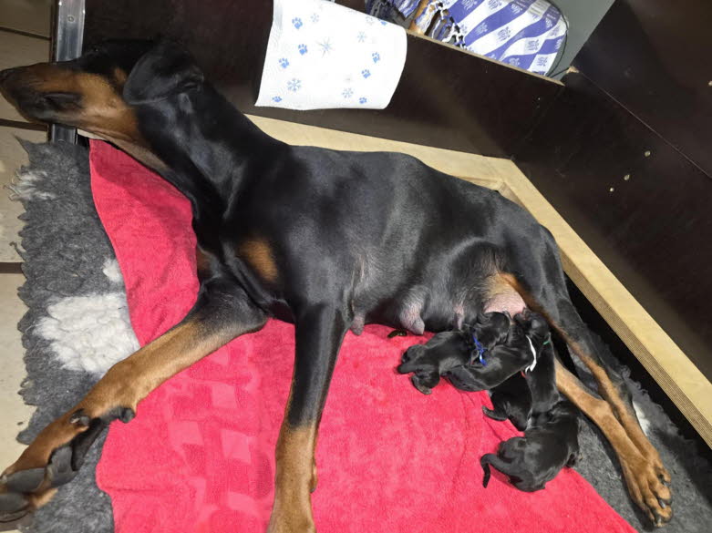 1e1b7e57-dd34-4902-8cee-d21bbf26ca96