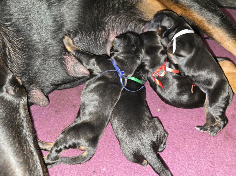 691d905c-b8e5-4d36-bf24-acb01322202a