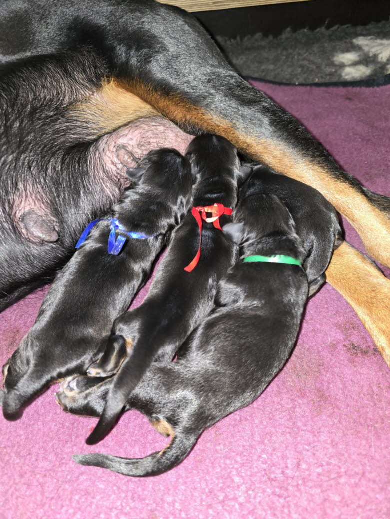 77b1559e-07b9-46b9-939e-2f75966b07b5