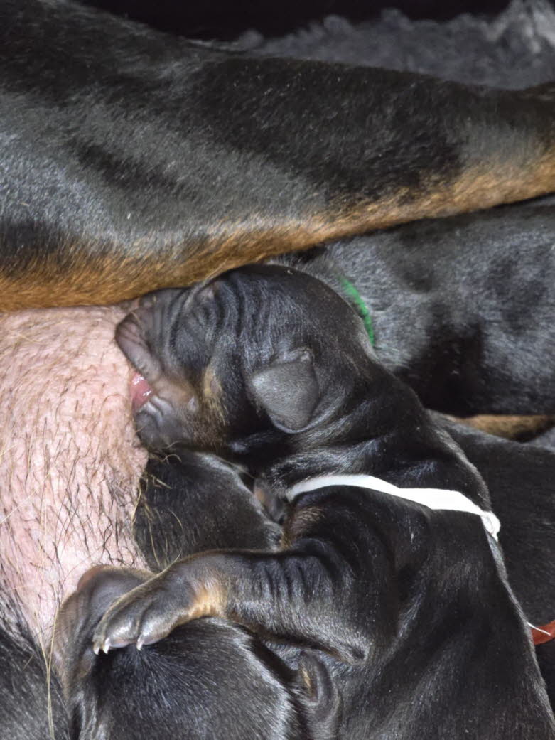 8322f6f5-e293-4781-9a39-1df124bde5fb