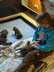 IMG-20250207-WA0006