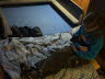 IMG-20250207-WA0020