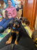 IMG-20250219-WA0005