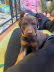 IMG-20250219-WA0007