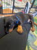 IMG-20250219-WA0008