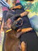 IMG-20250219-WA0009