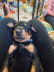 IMG-20250219-WA0012
