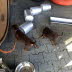 IMG-20250223-WA0027